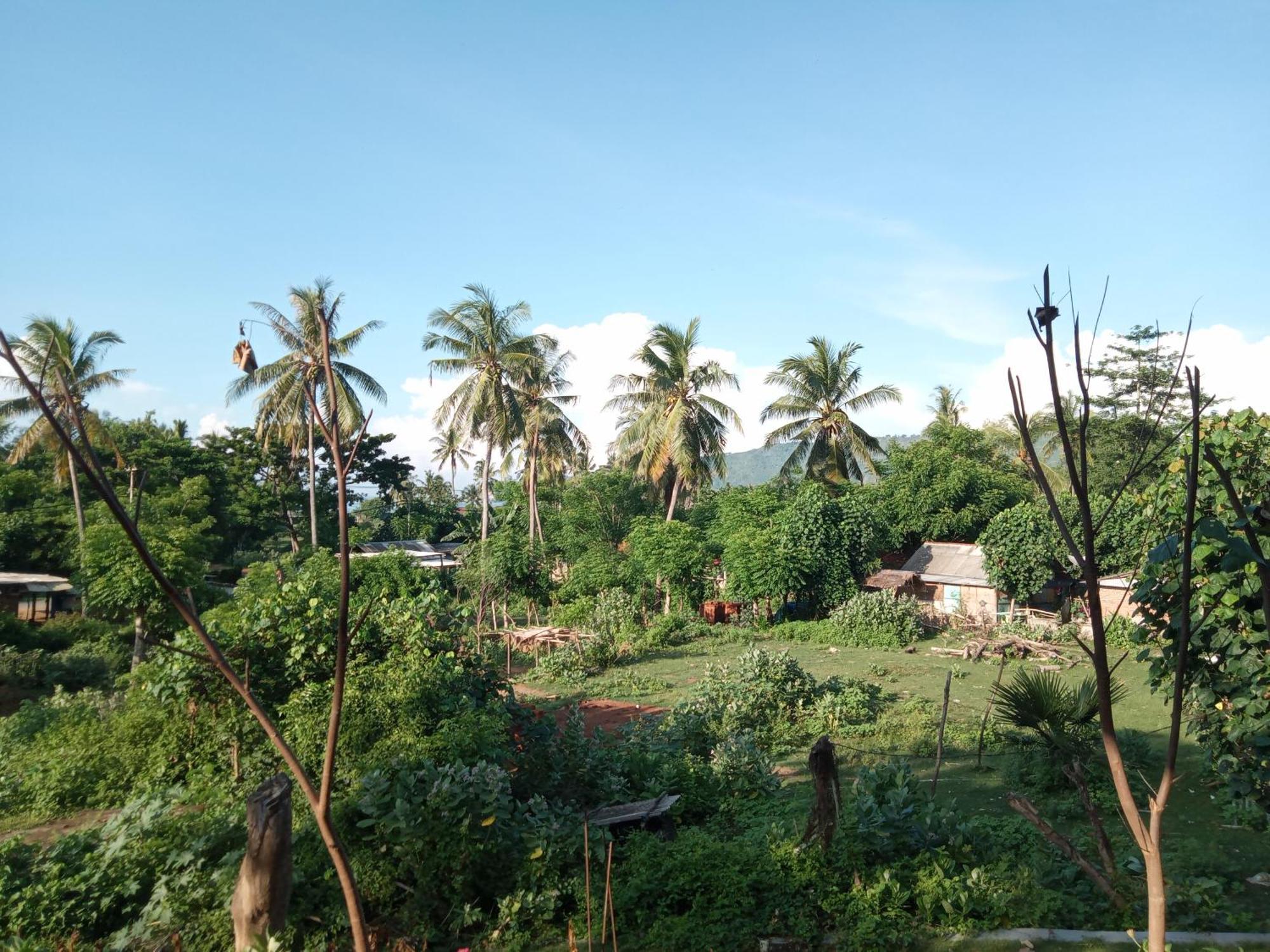 Ramdan Homestay *